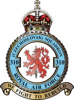 No. 310 Fighter Squadron