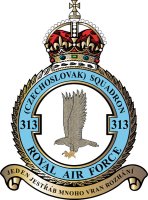 No. 313 Fighter Squadron